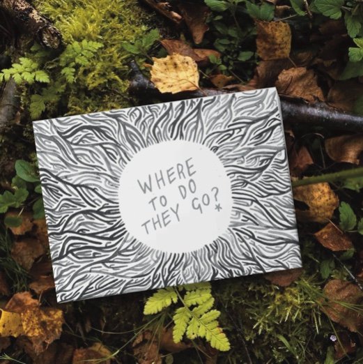 where to home
